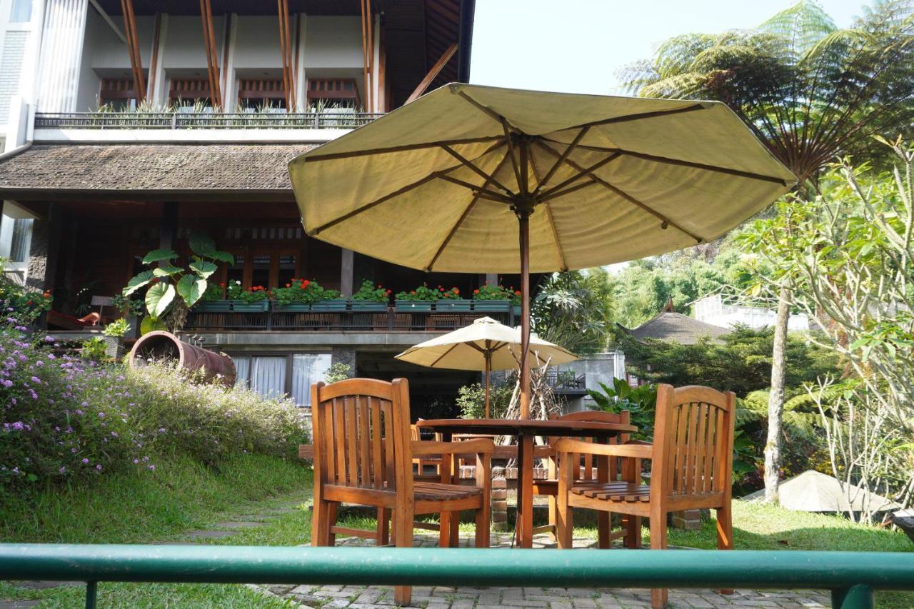 Rumah Stroberi Organic Farm & Family Lodge レムバン エクステリア 写真